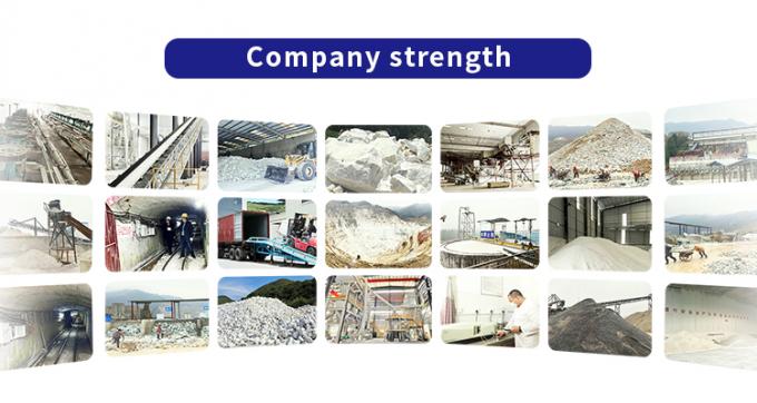 Guangdong XiMi New Material Technology Co., Ltd Γύρος εργοστασίων